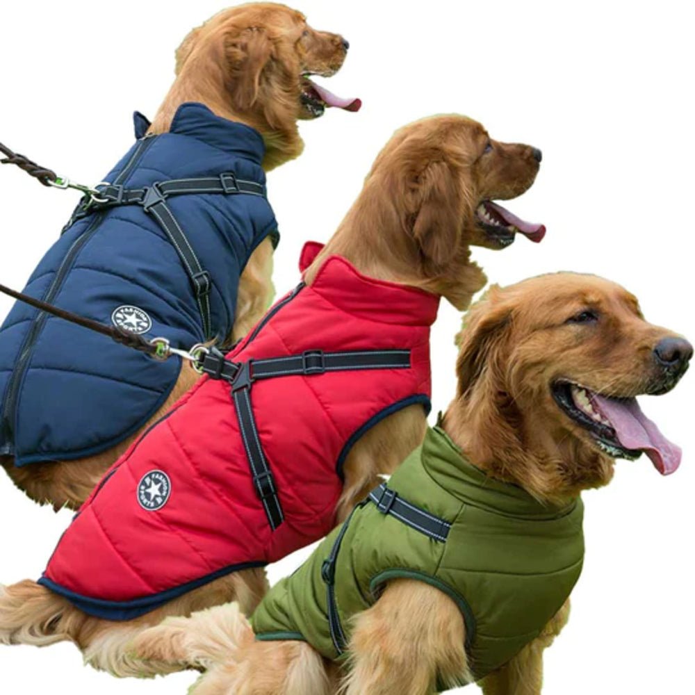 CozyBuddy™ - 3 in 1 Hondenharnas Jas
