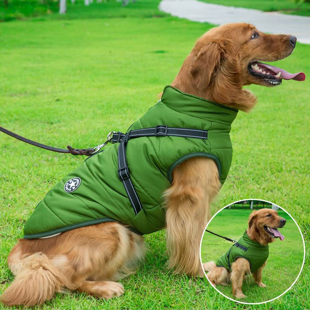 CozyBuddy™ - 3 in 1 Hondenharnas Jas