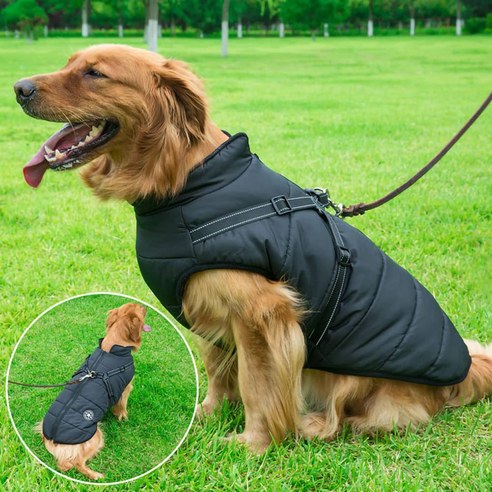 CozyBuddy™ - 3 in 1 Hondenharnas Jas