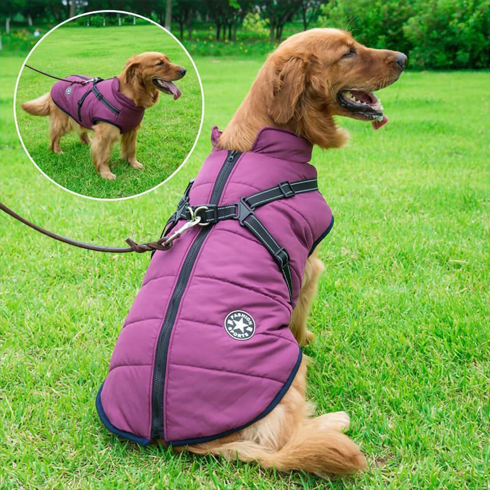 CozyBuddy™ - 3 in 1 Hondenharnas Jas