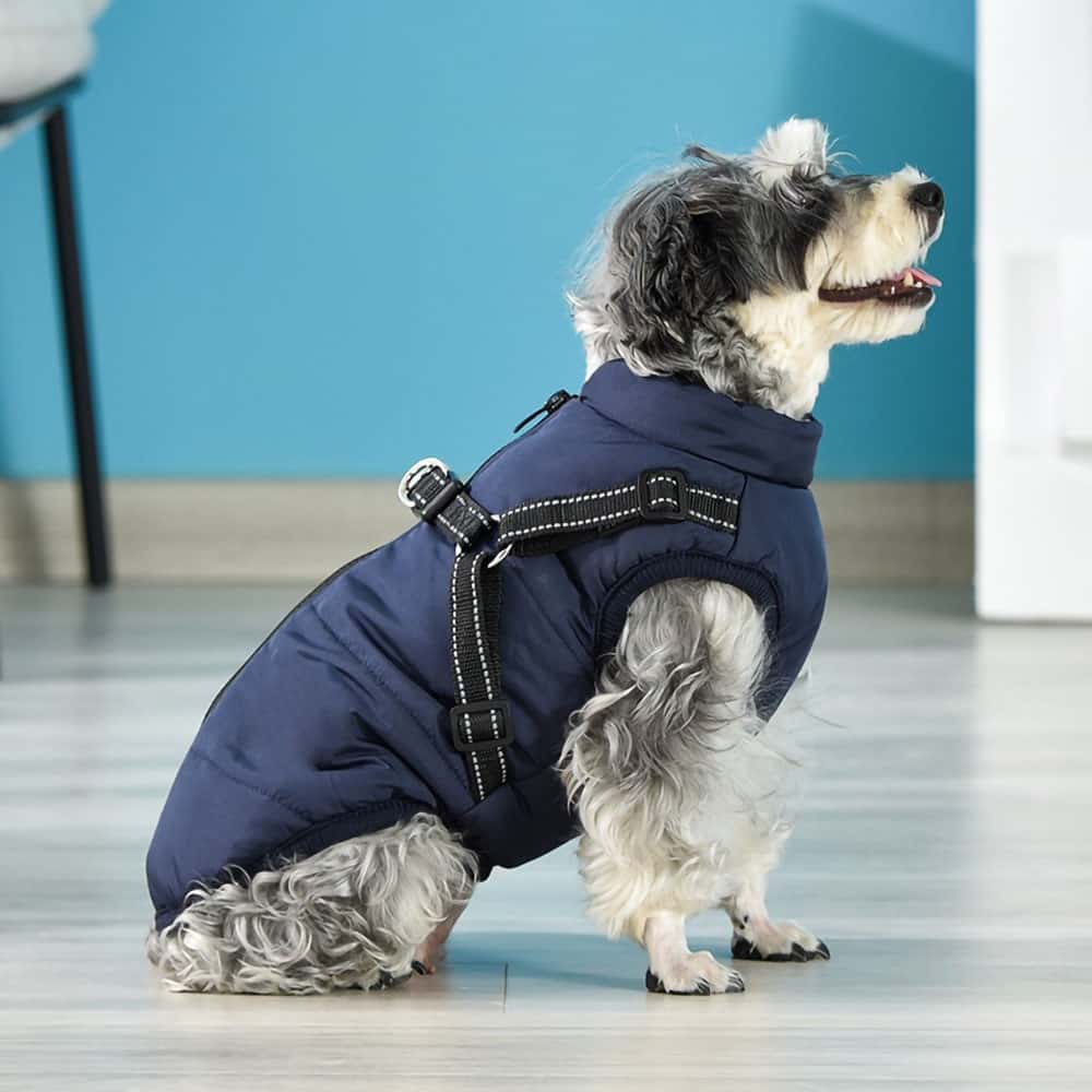 CozyBuddy™ - 3 in 1 Hondenharnas Jas