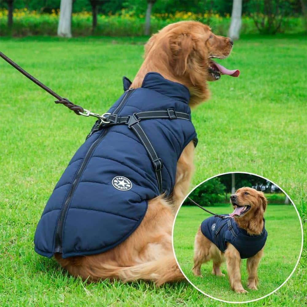 CozyBuddy™ - 3 in 1 Hondenharnas Jas