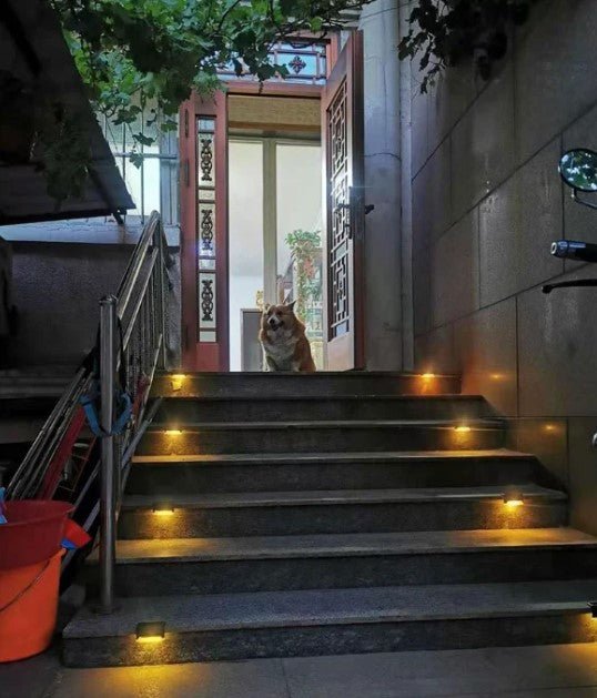 LumiPath™ I Sfeer en veiligheid verhogende buitenlampen