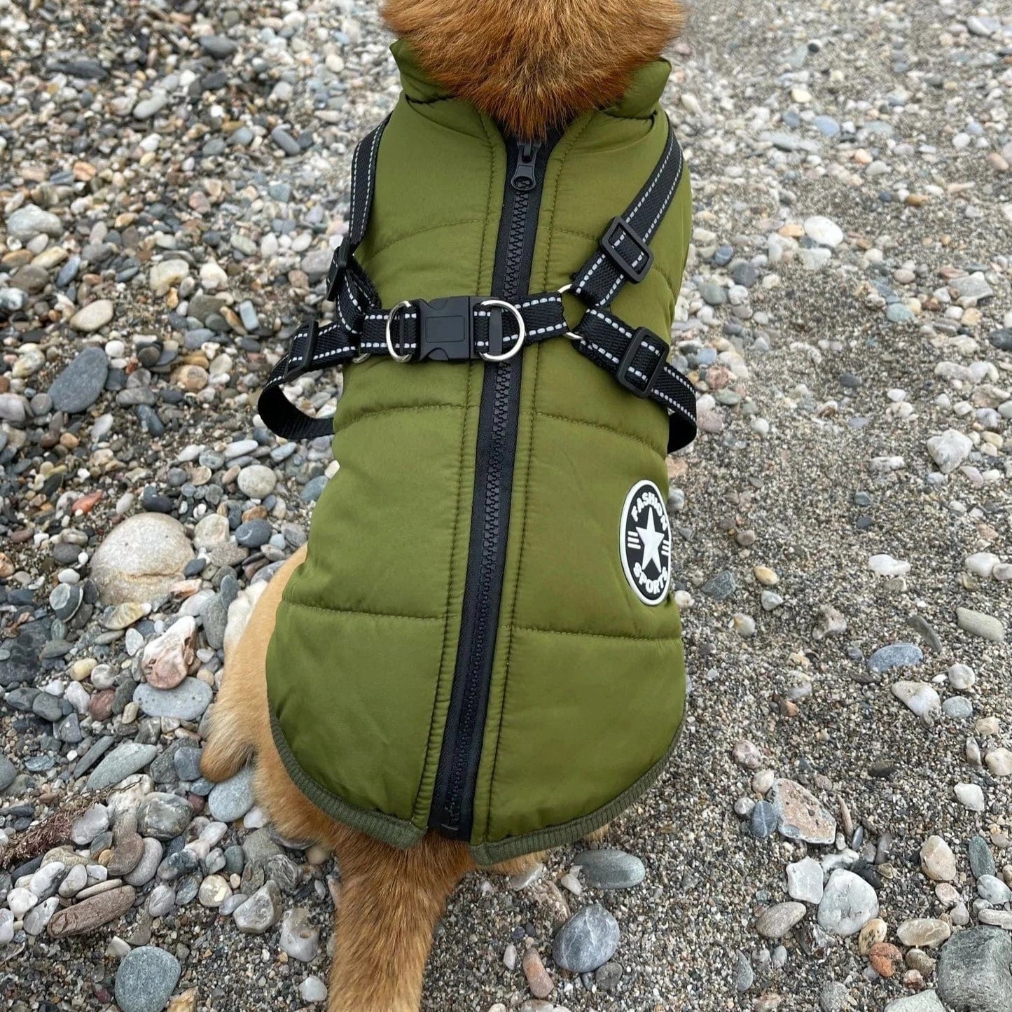 PawsHeat™ Pro I Geïsoleerde Warme Honden Jas + Gratis Hondenriem