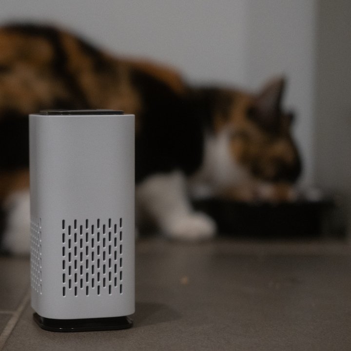 PurrAir™ I Elimineer kattengeuren op de automatische piloot